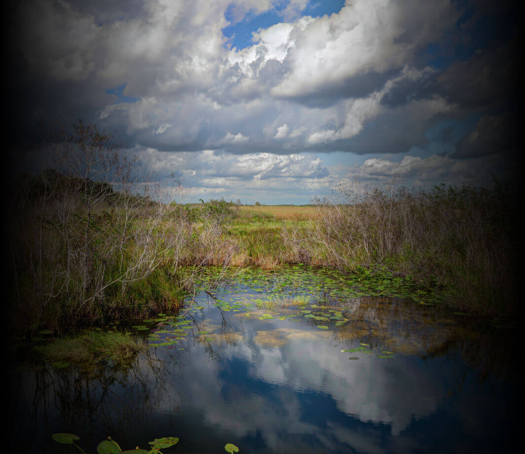 Photo of Scenic Field with a Pond