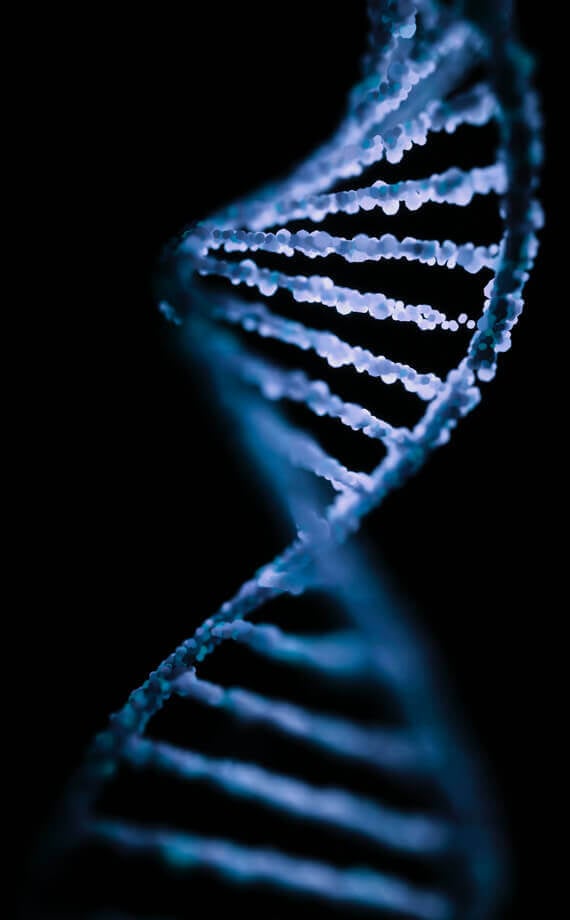 Photo of DNA