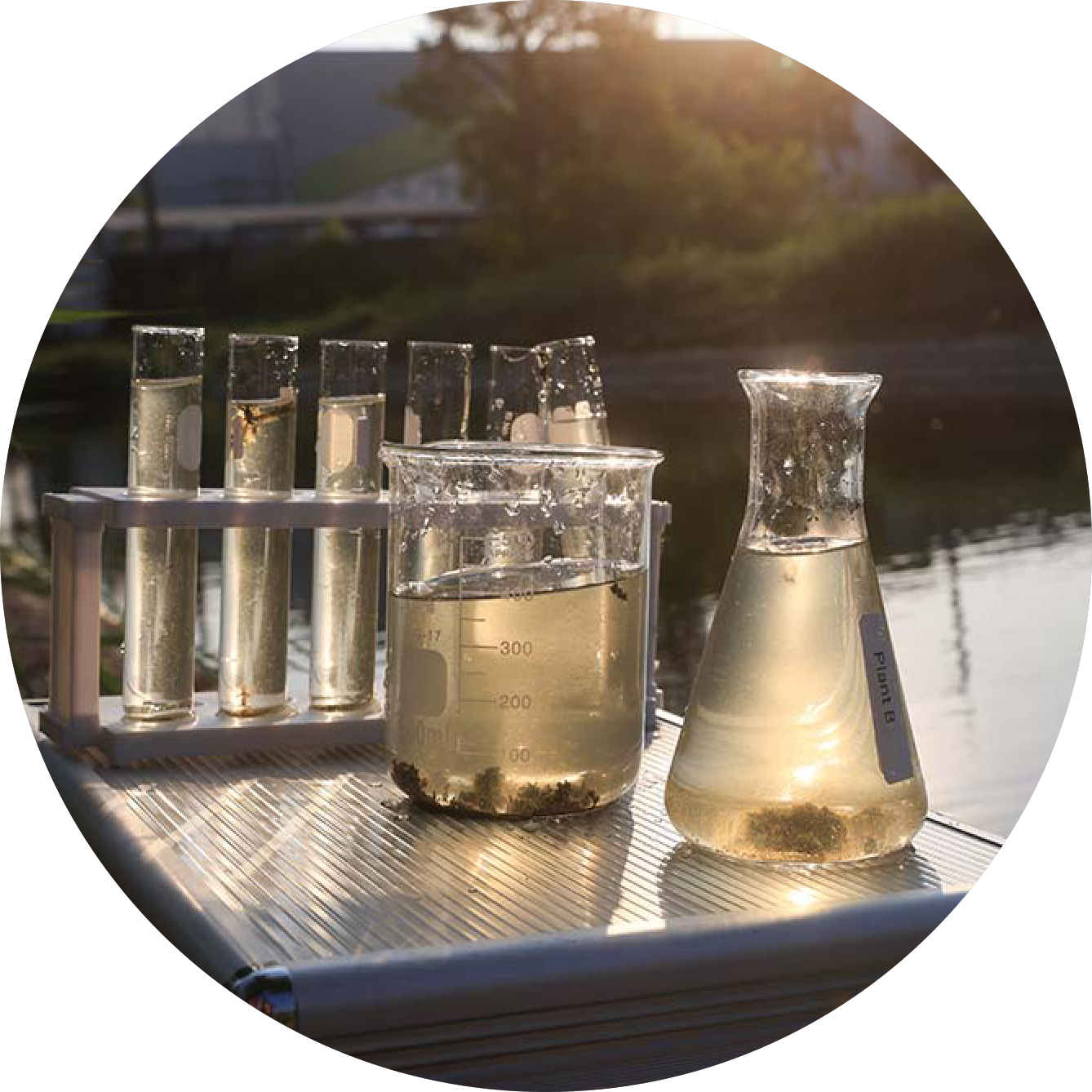 Photo of contaminated water