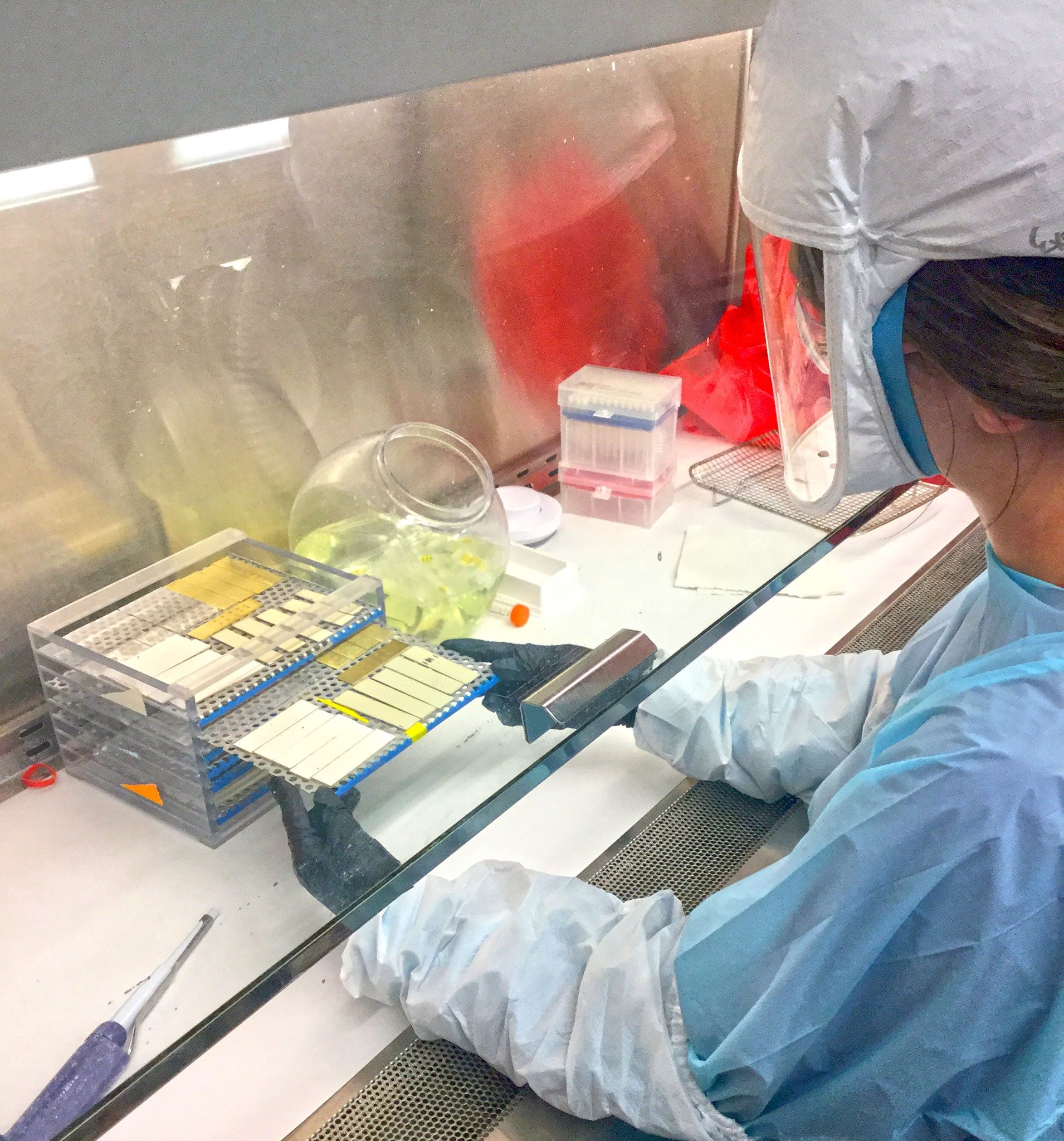 Scientist conducting a test