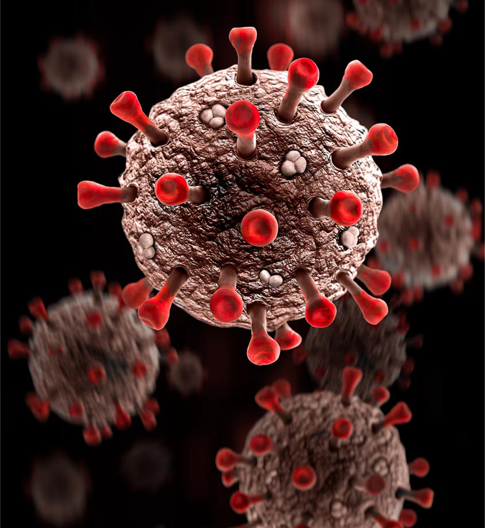 Microscopic photo of a virus