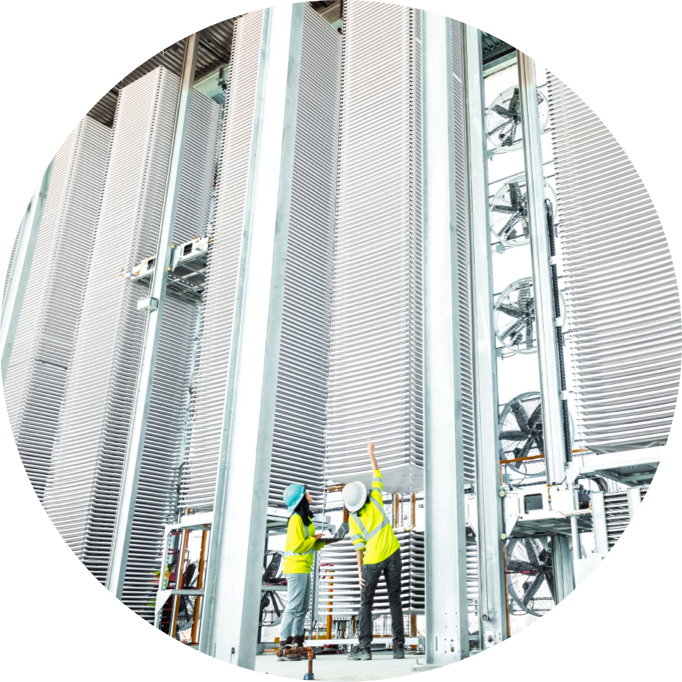 Photo of cypress workers