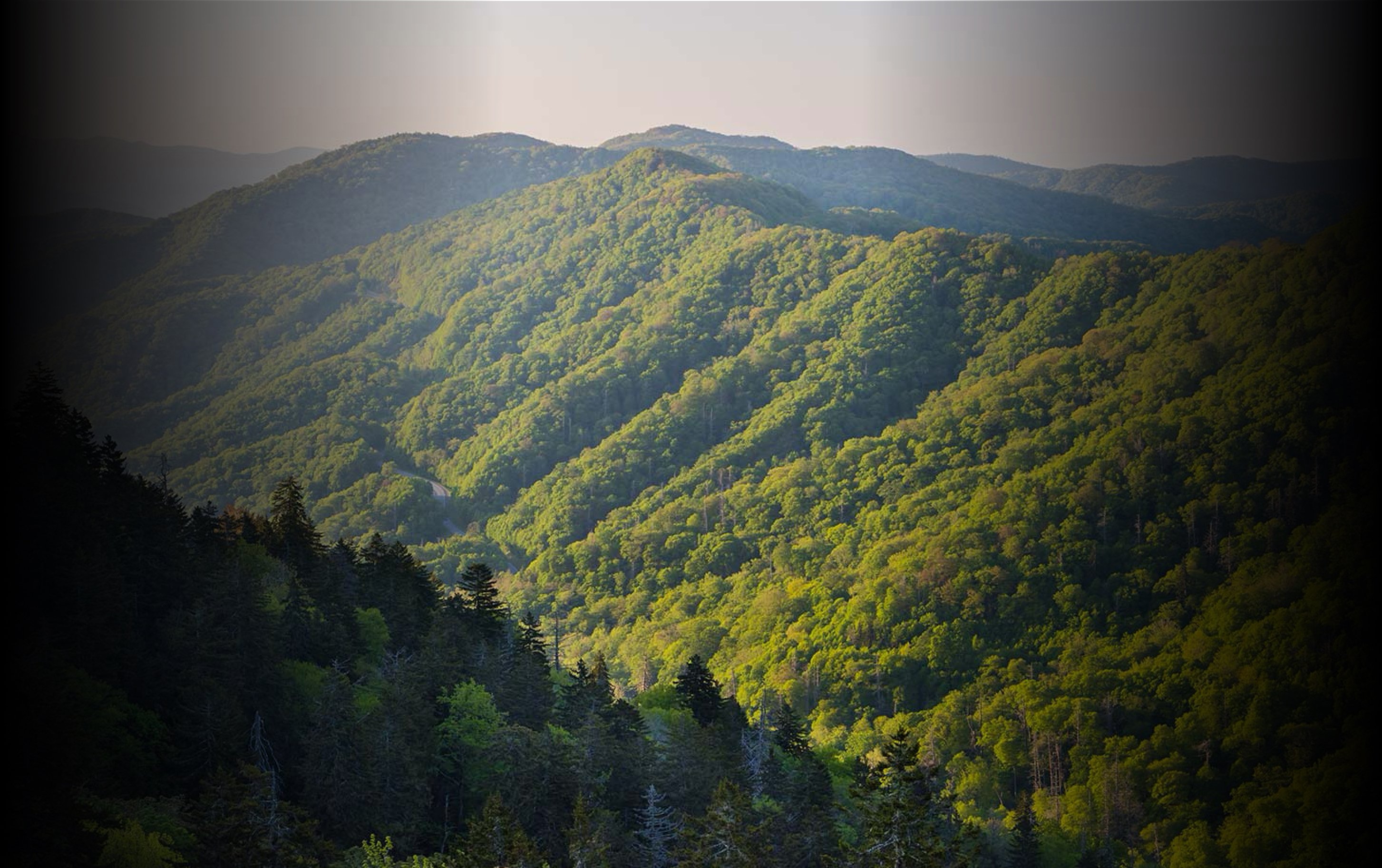 Photo of the Smokey Mountains