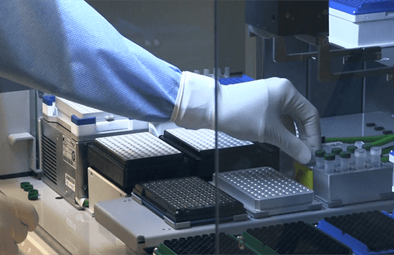 Massively Parallel Sequencing