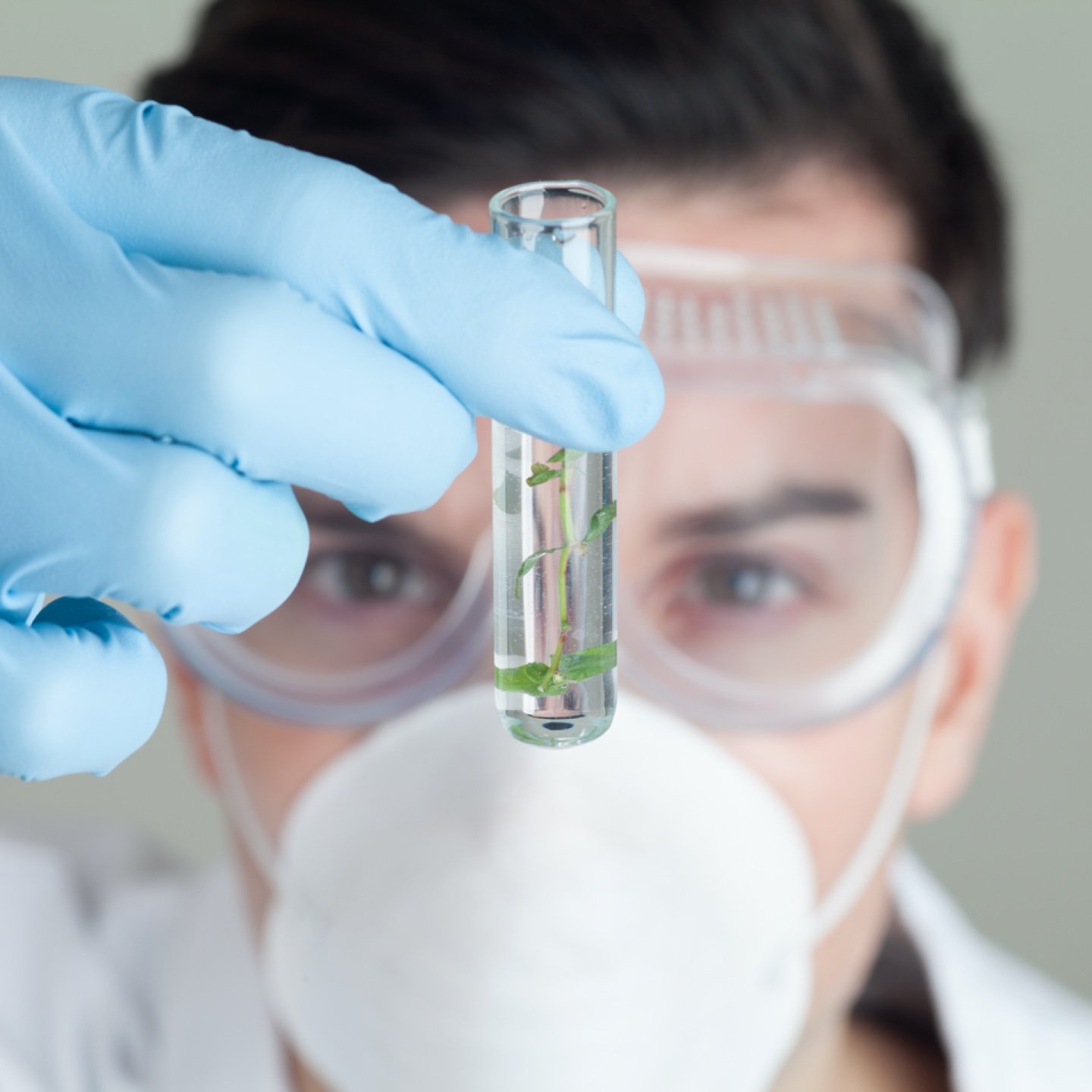 Photo: Battelle intern working on vaccine research project