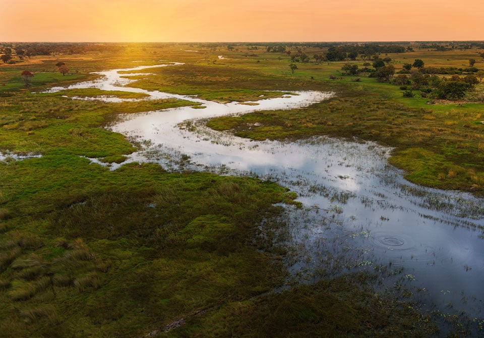 Photo: Field with waterways needing sediment management