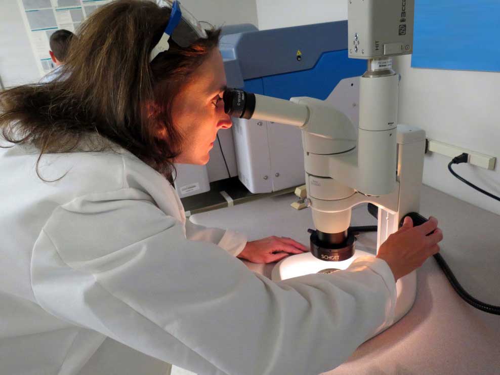 Photo: amy heintz analyzing a sample through a microscope