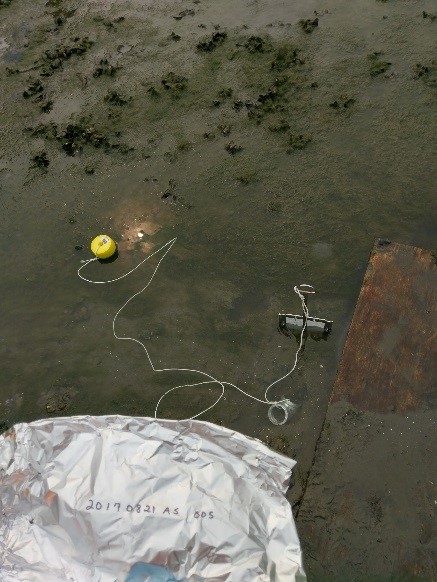 Passive-Sampling-Fig1 . PED deployed in a frame across the sediment-water interface in a streambed for porewater and surface water measurement