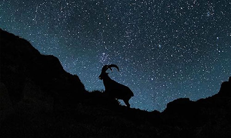 alt=an illustration of a billy goat on the sife of a mountain at night