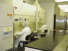 researchers working in a lab