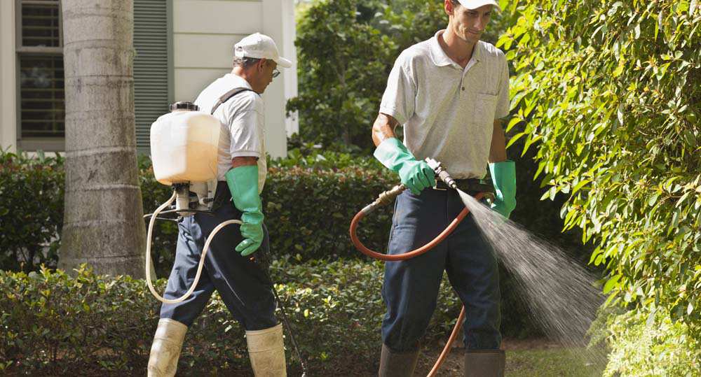 DART-Support1 yard maintenance workers spraying chemicals on a lawn