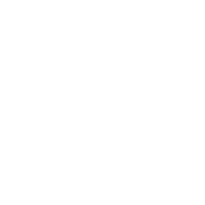 Icon: Beaker and technical report