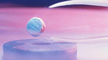 Photo: Ceramics superconductor research