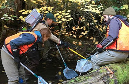 alt=neon field technician conducting field research