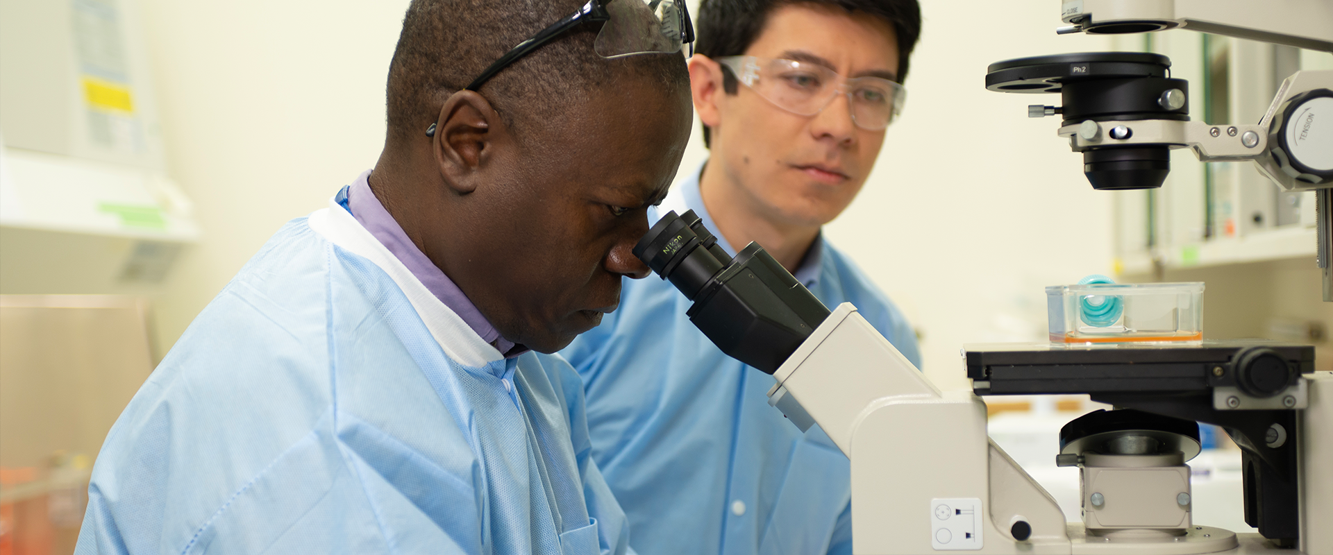 alt=battelle scientist looking through a microscope