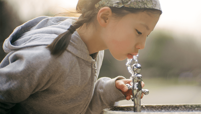 alt= little drinking pfas free water from a fountain