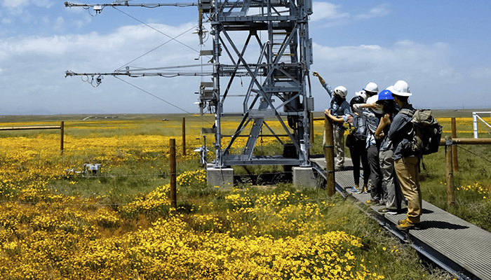 alt= neon researchers working in the field at one of the observatories