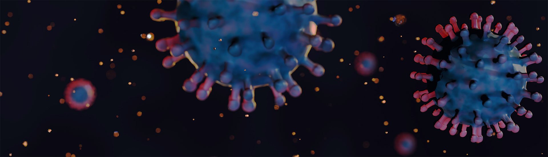 Image: 3D rendering of alphavirus