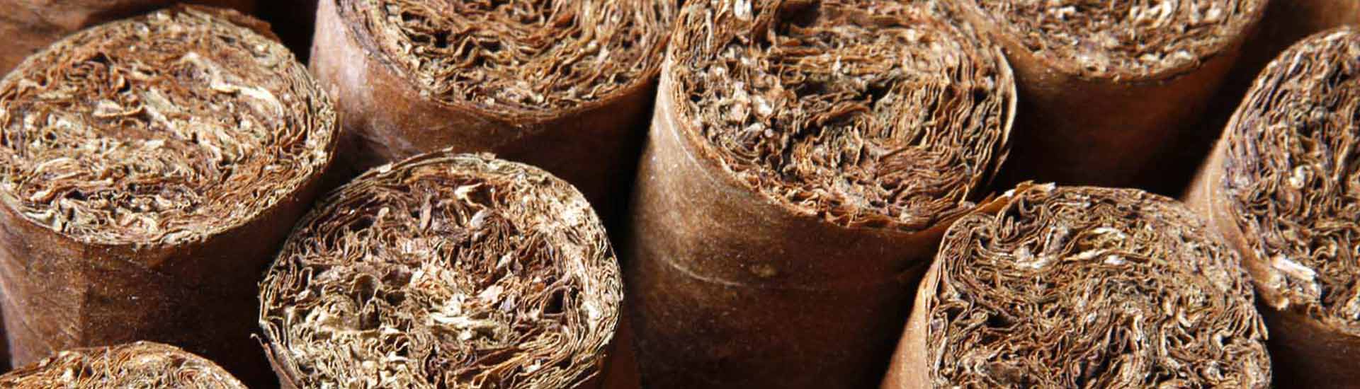 Photo: Abstract Image of Cigars