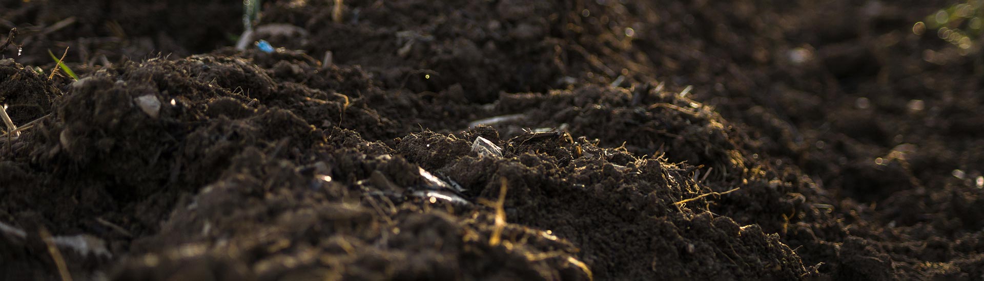 Photo: Close up of soil