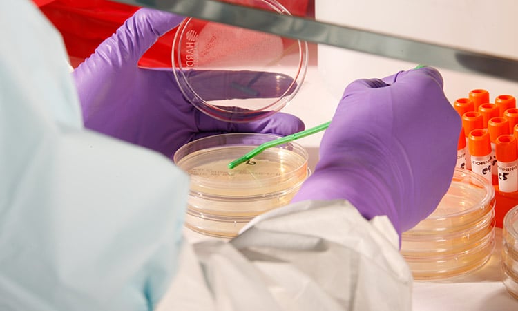 Photo: Researcher examining a sample