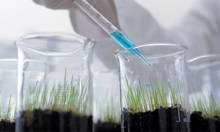 Photo: biologist using a dropper to put a chemical into a beaker filled with plants