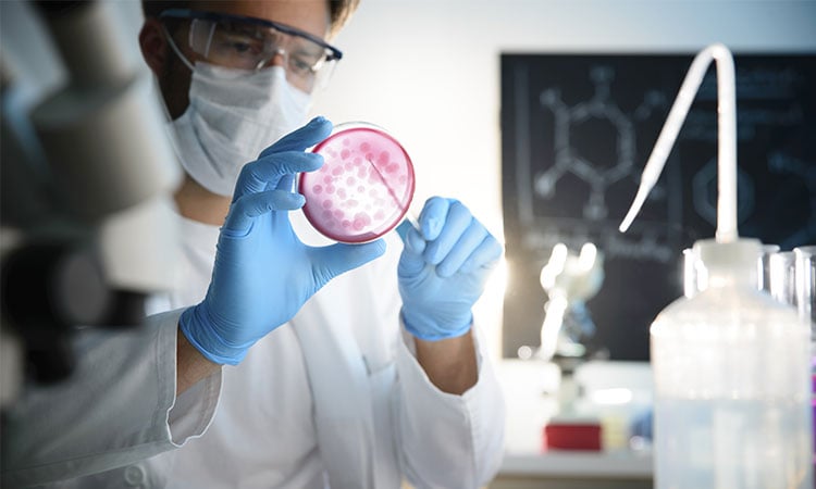 alt= scientist examining bio samples in a petridish