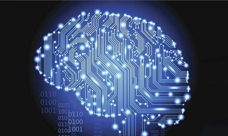 Photo: Circuit board in the shape of a brain