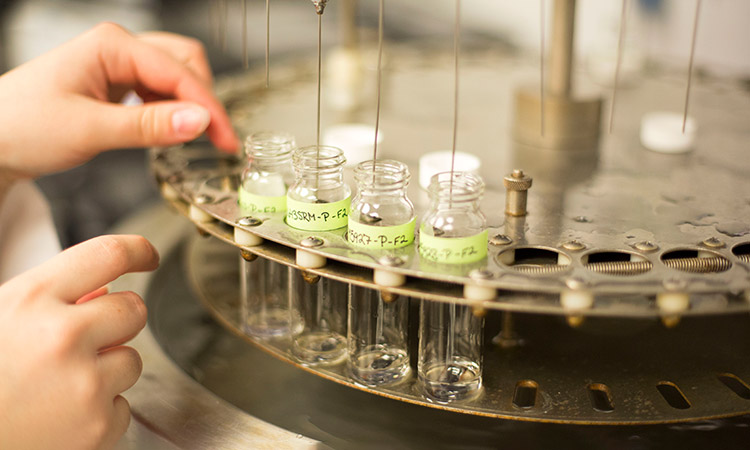 Photo: Test tubes in a laboratory