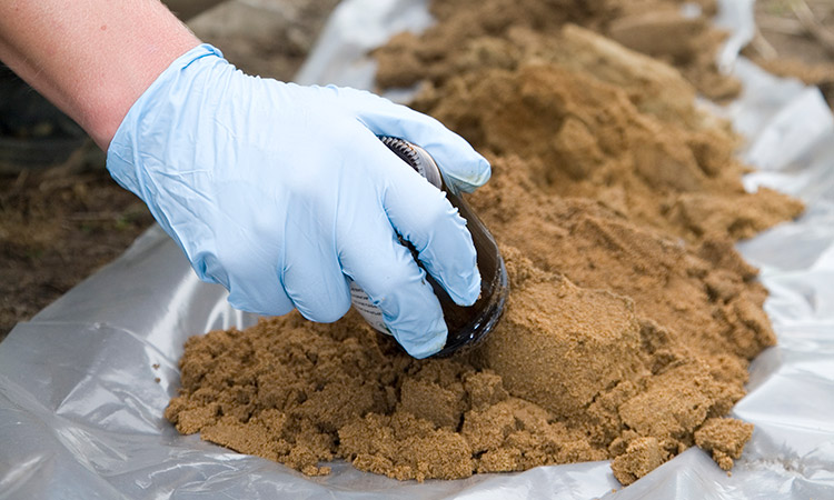 Photo: Researcher taking soil sample