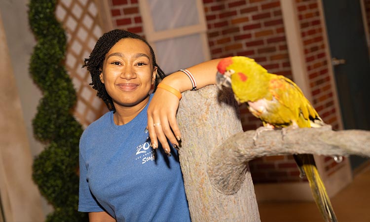 Photo: Columbus Zoo worker standing next to a parrot sitting on a branch