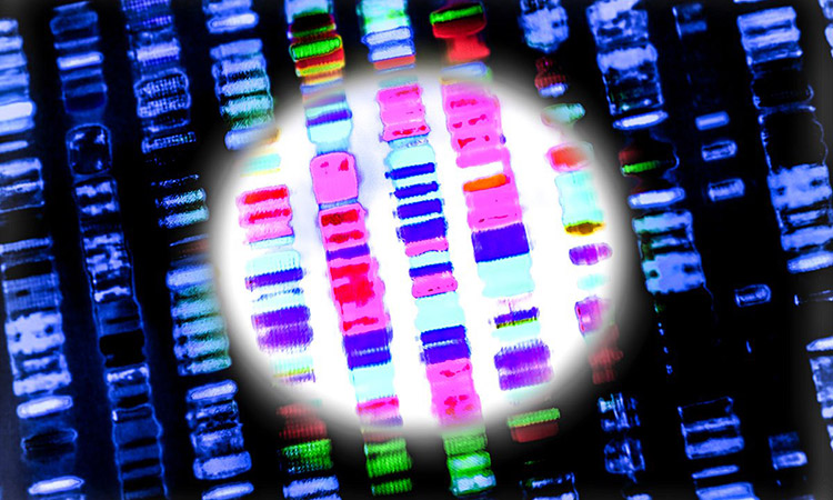 Photo: Abstract image of DNA sequences