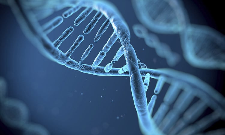 Photo: DNA sequences in microscopic view