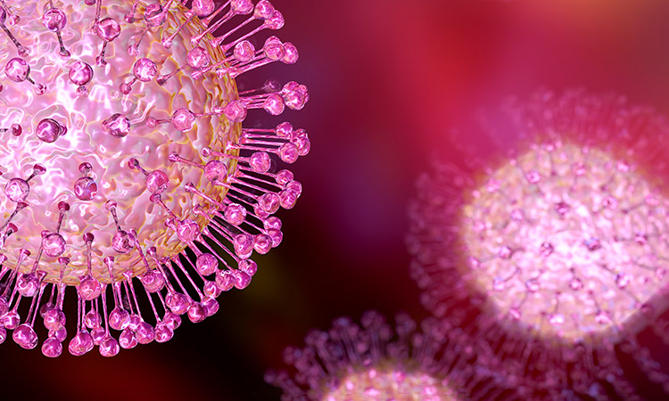 Photo: Microscopic view of COVID-19 Virus