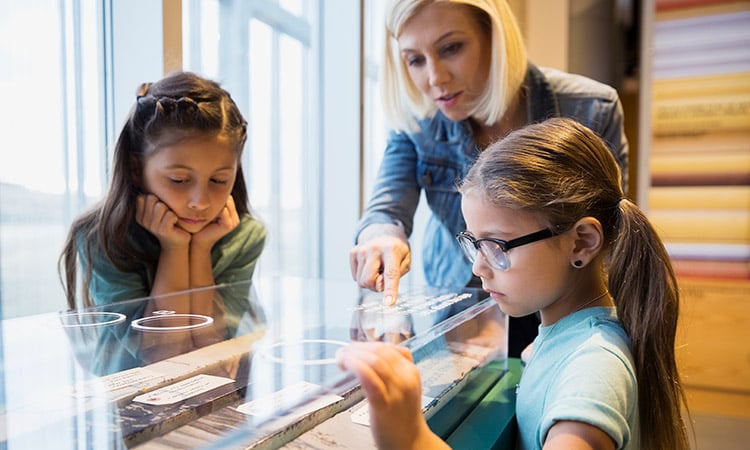 Photo: Tour guide showing children an exhibit