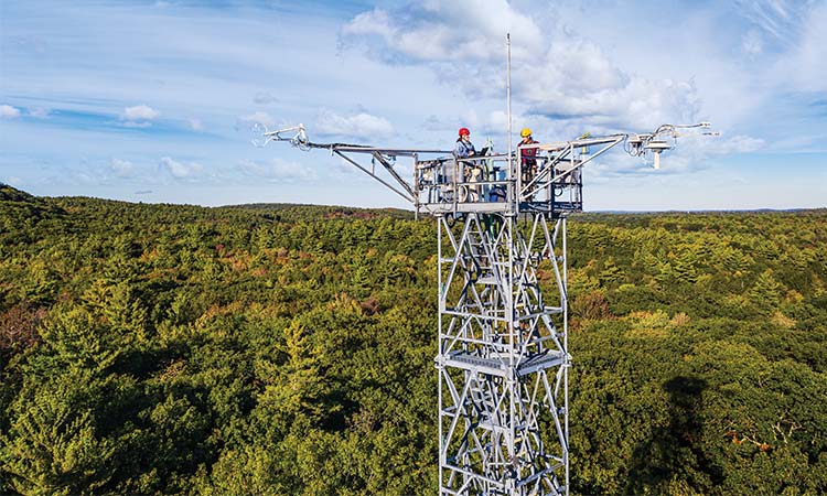 Photo: two neon employers working on a tower