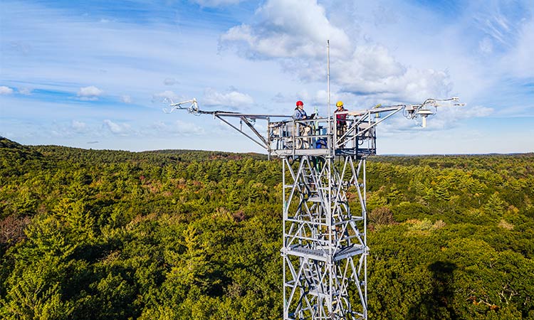 Photo: two neon technicians at the top of the neon tower