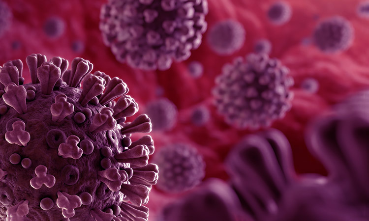 Photo: Virus in microscope view