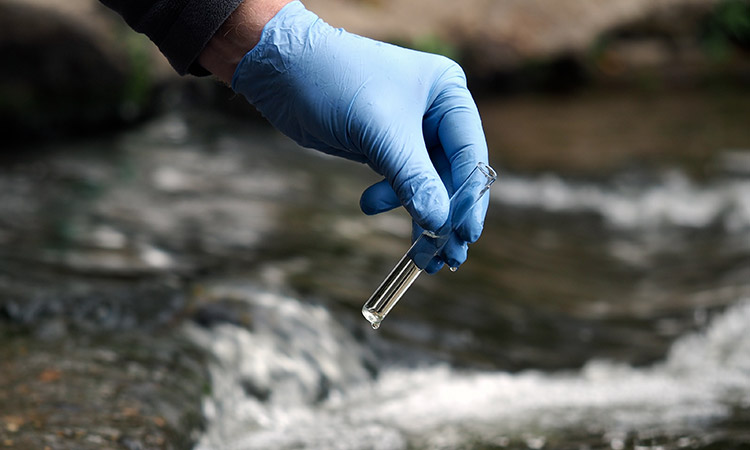 Photo: Researcher taking a water sample