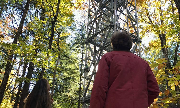 Photo: Senator Shaheen looking at NEON tower