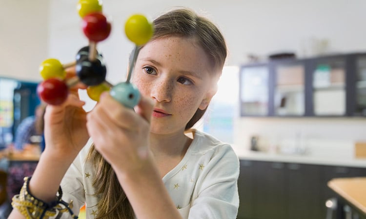 Photo: Child examining a model