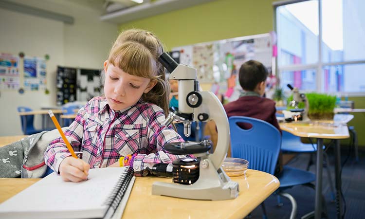 Photo: stem student writing an analyzes