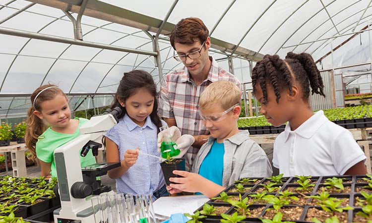 Photo: stem students learning about botany in botanical garden