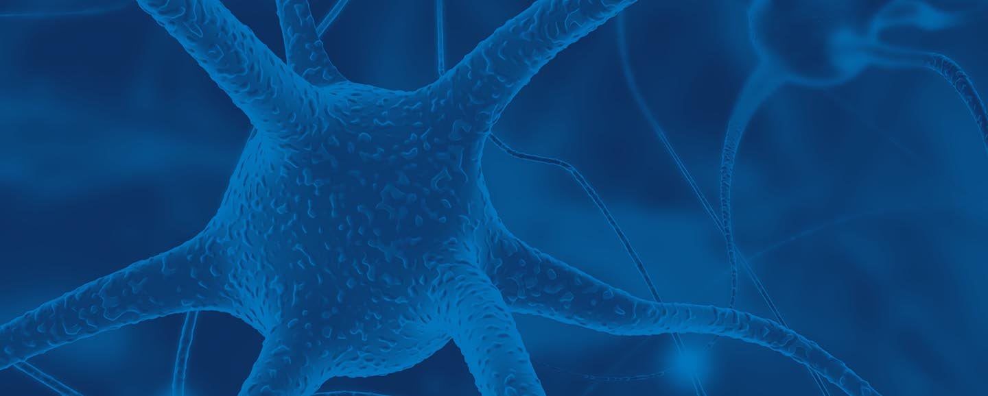 Photo: Microscopic view of brain