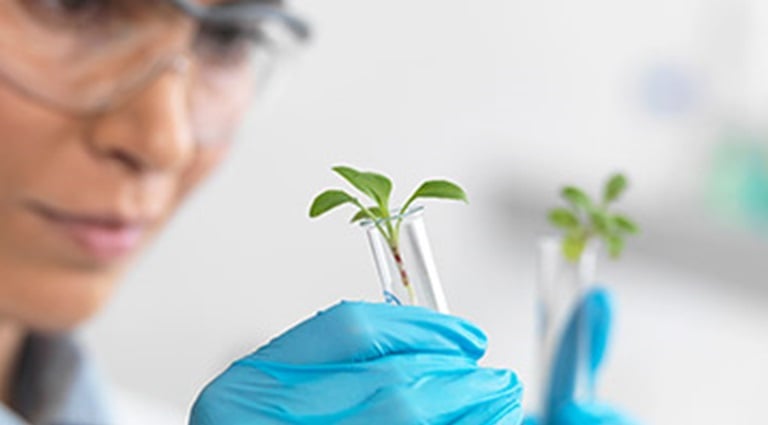 Photo: Researcher examining a sample of a agricultural formulation.