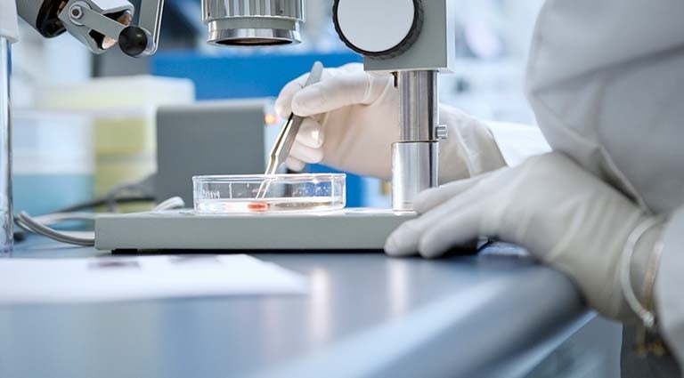 Photo; scientist studying a sample through a microscope