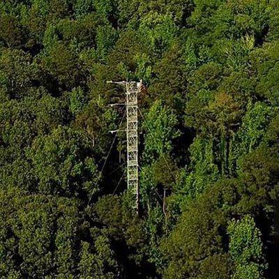 Photo: Research tower at NEON research location