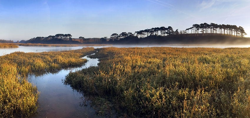 Photo: Grassland field