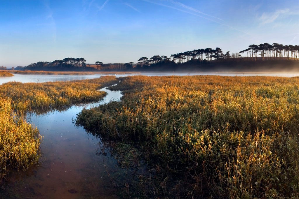 Rotator_Image-Environment Photo: River running through health environment
