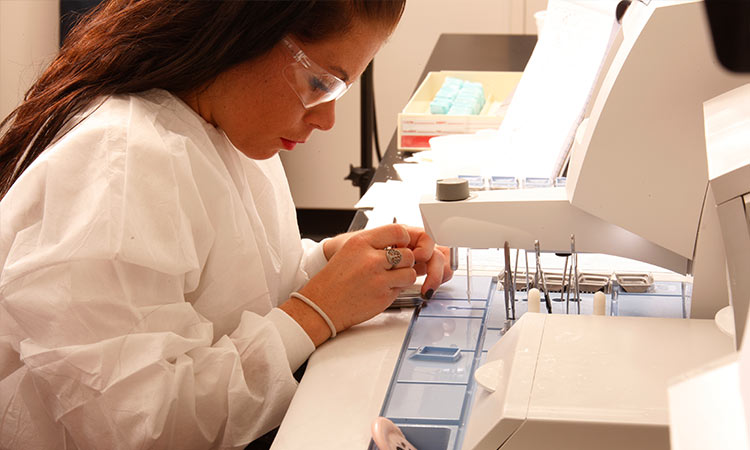 Photo: life science research technician analyzing samples